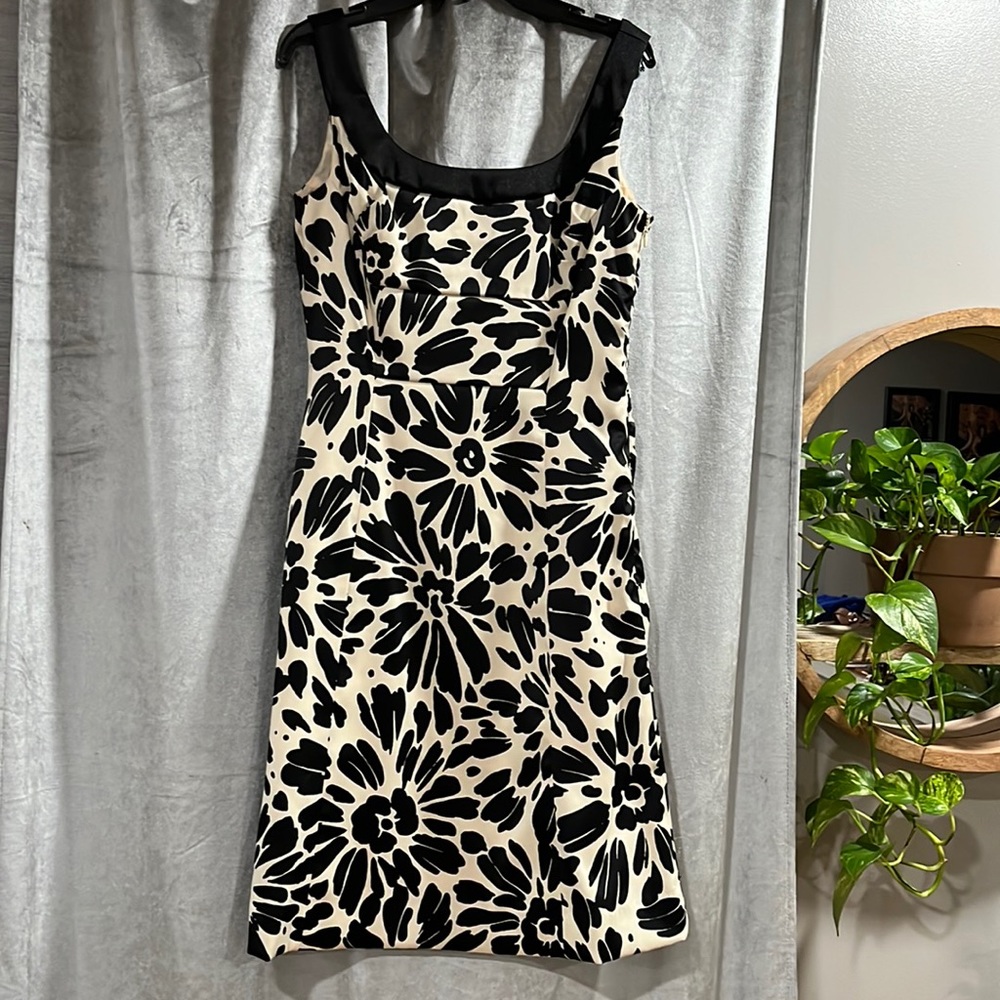Evan-Picone dress petite